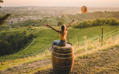 Airbnb e Coldiretti insieme per promuovere l'Enoturismo e valorizzare i distretti del vino italiani